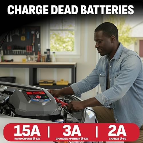 Schumacher Electric Car Battery Charger 12V/6V - Trickle Charger, Maintainer for Automobile & Marine Batteries (AGM/Gel/Deep Cycle) - SC1280 - size: Battery Charger and Maintainer