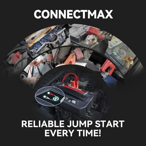 LOKITHOR J701HD 4000A Peak Heavy Duty Jump Starter, 24V Portable Jump Box for Up to 15L Gas or Diesel Engines, 100W Two Way Quick Charge Power Bank & DC Out, 400LM Lights