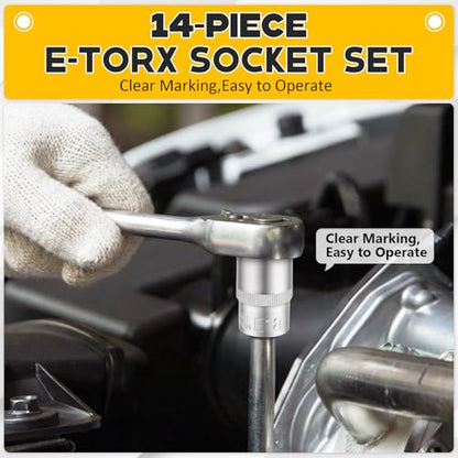 14-Piece E-Torx Socket Set, Premium External Torx Star Sockets - 1/4" 3/8" 1/2" Drive E4-E24, Ultimate Torque Socket Kit, Storage Case Included for Automotive Repair & Maintenance