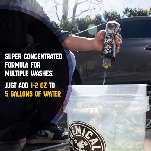 Chemical Guys, HydroSuds Ceramic High Foaming Car Wash Soap, Berry, 16 oz | Ceramic polymers add gloss and water beading, thick foam for cannons, guns or buckets, sweet berry scent - size: 16 Fl Oz (Pack of 1)