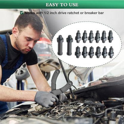 LainKeen 15PCS Universal Pulley Holder Tool Kit, Pin Spanner Wrench Set, 1/2-inch Drive Ratchet Adjustable Spanner Wrench with Variable Pins fits Camshaft Pulleys, Fan Clutch Removal Wrench Tool