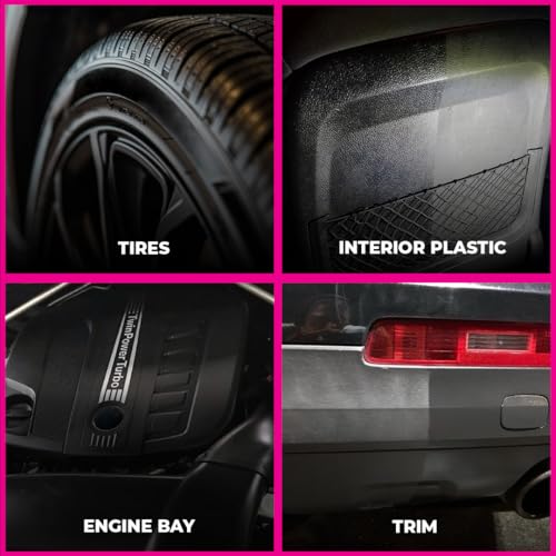 Legendary Gloss Dressing 16oz - Tire Shine Spray & Plastic Restorer - Water Based & Non-Greasy Interior/Exterior Detailing Spray - Trim, Rubber, Vinyl & Plastic Restorer for Cars (2Pack) - size: Gloss Dressing 16oz (2Pack)