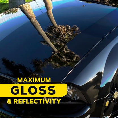 Meguiar’s Ultimate Polish – High-Gloss Polish for a Show Car Shine – Permanently Removes Light Swirls to Produce a Deep, Wet Reflection with a High Gloss Shine - Easy to Use, 16 Oz - size: 16 Fl Oz (Pack of 1), style: 16 Oz