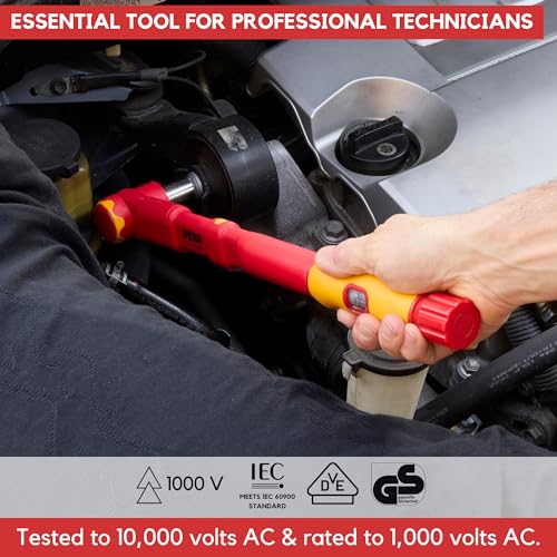 FESA Electrician Insulated Torque Wrench (3/8" Drive, 20-100 Nm Range) | w/Easy Torque Adjustment & Scale Display - Each Insulated Wrench Has ID for Traceability - style: 3/8" Drive, 20-100 Nm Range