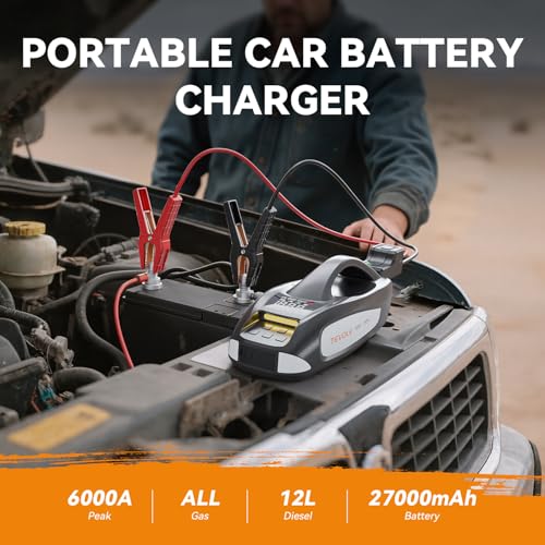 6000A Heavy Duty Jumper Starter with Sturdy Case