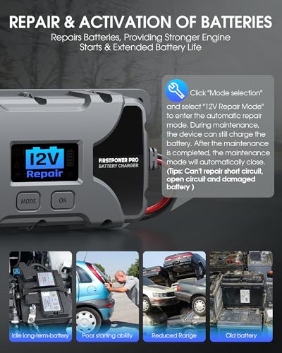 5A Car Battery Charger, 12V 6V Trickle Charger for Car Motorcycle Battery, Automobile Battery Maintainer with LCD Display, Pulse Repair Desulfator for Lead Acid, AGM, Lithium Batteries (Silver)