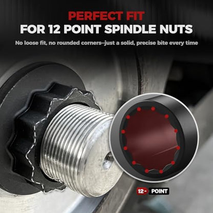 BILITOOLS 12 Point Axle Nut Socket Set, 1/2" Drive Spindle Nut Socket Set | for Wheel Bearing & CV Axle, Impact Deep 14mm 17mm 19mm 30mm 32mm 34mm 35mm 36mm, Compatible with Toyota, Honda, BMW, VW,Audi