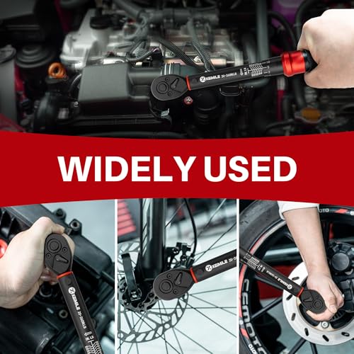 51Pc 1/4"Drive Torque Wrench Set 20-260In.Lb for Bicycle Motorcycle | Inch Pound Click Bike Torque Wrench(2.3-29.4Nm),72T Dual Direction 3% Precision,Small Torque for Car,Lug Nut,Gunsmithing DIY - size: 1/4"DR.20-260In.Lb TW Set