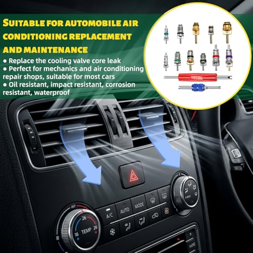 372 Pieces Car Air Conditioning Repair Kit, Car A/C R12 R134a Rubber O-Ring Set AC Valve Cores Accessories Kit with Double Head Removal Install Tool, Tire Valve Stem Cores for Most Car