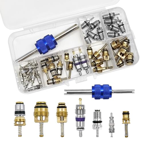 40PCS A/C R12 R134a Car Air Conditioner Valve Core Seal Kit, Refrigeration Tire Valve Stem Cores Repair Kit Double Head Dual Dismantling Installer Tool