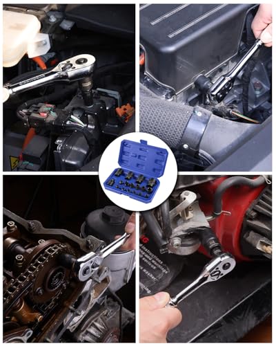 WORKPRO 17 PCS Female E-Torx Socket Set, E4-E24, CR-V Steel | 1/4",3/8",1/2" Drive, Inverted Torx, Storage Case, for Auto & Engine Repair