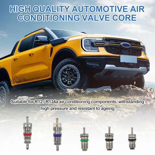 102Pcs Auto Air Conditioning Valve Core Accessories Kit A/C R12 R134a Automotive Air Conditioning Refrigeration Tire Valve Stem with Double Head Dismantling and Installer Tool Assortment Kit