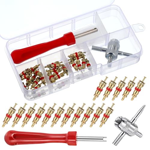salbsever 32 PCS Tire Valve Core, Valve Core Removal Tool, ValveCore Universal Remover Tool Kit, Dual Head A/C Tire with Cores, Caps