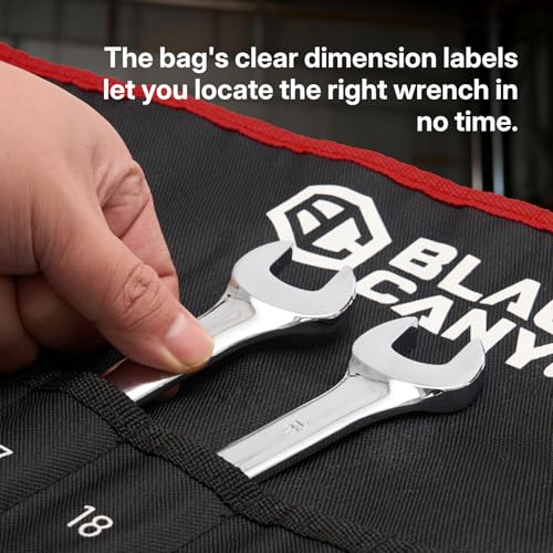 BLACK CANYON Combination Wrench Set with Pouch, Metric 19-Piece (6-24 mm), 12-Point Box End & Hex Opening, Long Pattern, Polished Steel - size: Metric -19 piece set
