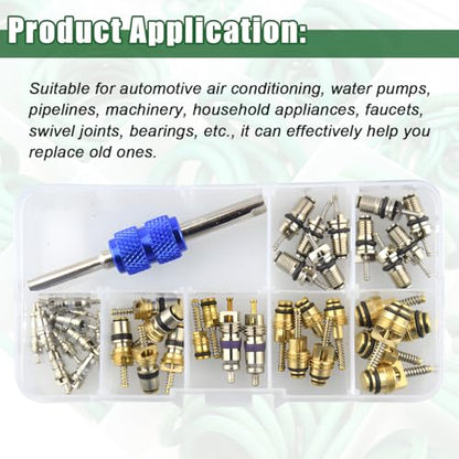 Bittwee Car A/C Repair Kit, 39PCS Vehicle Air Conditioner Valve Core with 270PCS O-Ring, AC R12 R134a Auto Refrigeration Tire Valve Stem Cores Assortment with Remover Tool, Universal Fit