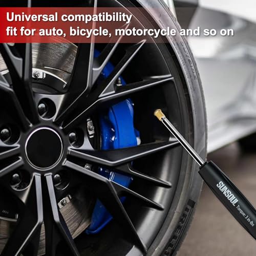 SUNSOUL 102PCS Schrader Tire Valve Cores with 4-Way Valve Core Removal Tool | Easy to Install, Nickel Plated Surface, 100% Leakage Tested, Max 300 PSI, Fits Car, Motorcycle, ATV, RV, Bicycle