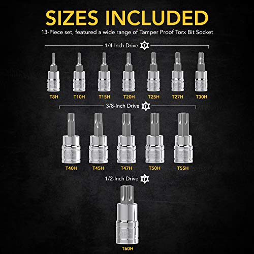 LEXIVON Tamper Proof Torx Bit Socket Set, Premium S2 Alloy Steel | 13-Piece Security Star T8 - T60 Set | Enhanced Storage Case (LX-146) | 13-Piece Security Star T8 - T60 Set, Enhanced Storage Case (LX-146)