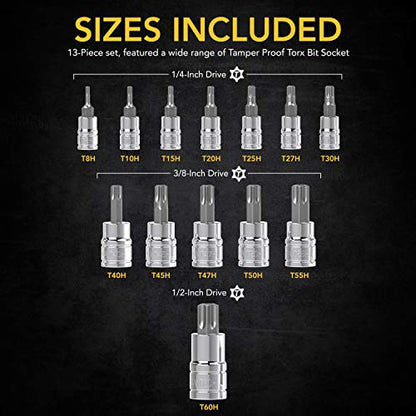 LEXIVON Tamper Proof Torx Bit Socket Set, Premium S2 Alloy Steel | 13-Piece Security Star T8 - T60 Set | Enhanced Storage Case (LX-146) | 13-Piece Security Star T8 - T60 Set, Enhanced Storage Case (LX-146)