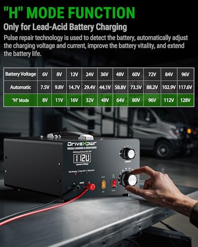 Adjustable Battery Charger 6V 8V 12V 24V 36V 48V 60V 72V 84V 96V,18A Automatic Battery Maintainer,Battery Desulfator Maintainer for Lead-Acid LiFePO4 Lithium,Suit Automotive Golf Cart Truck Mower(X50)