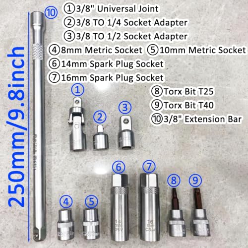 3/8 Inch Drive Click Torque Wrench Set, 11PCS Professional Torque Wrench Kit (5-60N.m), Auto Repair Tool with Spark Plug Sockets, Adapters & Extension Bar for Car, Motorcycle Maintenance