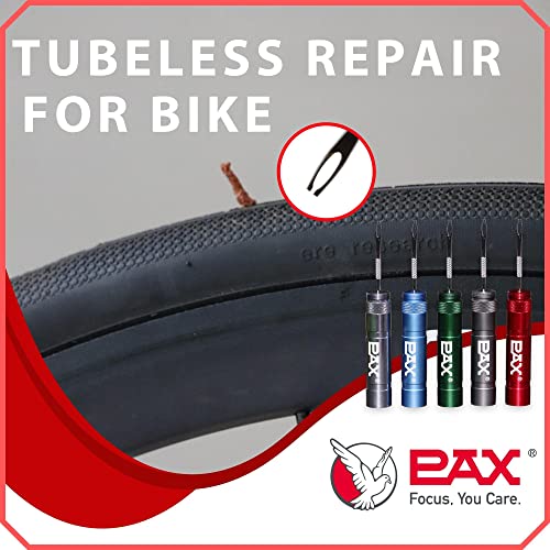 PAX 12 Pcs Tubeless Bike Tire Repair Kit, Includes Storage Canister, Plugger Tool, 10 Pcs Tire Plug Strips, Fast Flat Puncture Fix for MTB, Gravel and Road Bicycle Tires - Dark Gray - color: Dark Gray