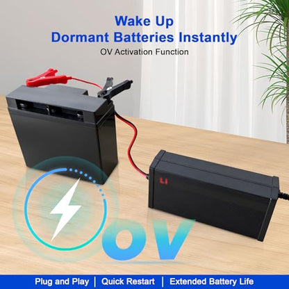 24V Lithium Battery Charger 29.2V 10A LiFePO4 Battery Charger for Lithium Iron Phosphate Battery, AC-DC Smart Charger, Battery Maintainer, Built-in Safety Protections, Support 0V Charging Function - color: 29.2V 10A