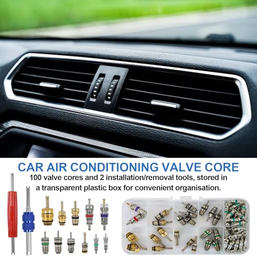 102Pcs Auto Air Conditioning Valve Core Accessories Kit A/C R12 R134a Automotive Air Conditioning Refrigeration Tire Valve Stem with Double Head Dismantling and Installer Tool Assortment Kit