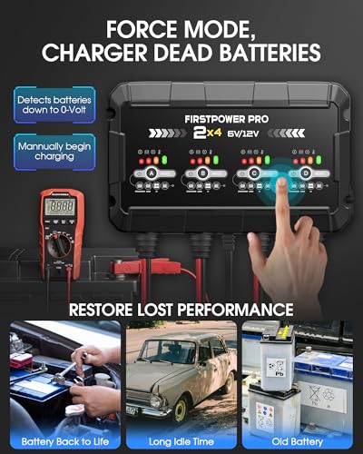 8A 4-Bank Car Battery Charger (2A/Bank) - 6V & 12V Automatic Trickle Charger, Motorcycle Battery Maintainer & Desulfator with Overcharge & Temperature Compensation – for Lead Acid, AGM, Gel, LiFePO4