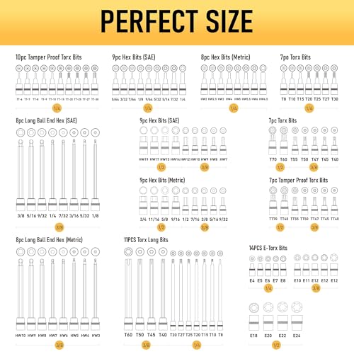 107-Piece Master Torx & Allen Bit Socket Set, S2 Steel, 1/4" 3/8" 1/2" Drive, Long Torx, Ball End Hex, Tamper-Resistant Star, E-Star Sockets, SAE & Metric (Chrome-Polished Set)