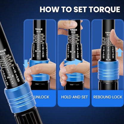 1/4 Inch Drive Click Torque Wrench (2.26-24.9 N.m & 20-220 IN.LB), ±3% High Precision, 72-Tooth Ratchet for Bicycle Repair, Electronics, Muzzleloader - with Protective Case - size: 1/4 Inch