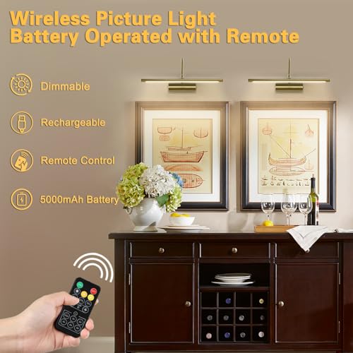 JOOSENLUX Battery Operated Picture Lights Gold Wall Lights Wireless Flexible Neck with Remote Rechargeable Wall Lights for Pictures 16" Dimmable Display Art Light with Timer 3000K Brass - color: Brass, size: Model A
