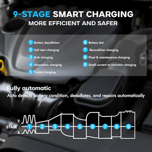 30-Amp Battery Charger for Lithium LiFePo4 Lead Acid Deep Cycle (AGM/Gel), 6V/12V/24V Battery Charger & Maintainer, Trickle Charger for Car Truck Motorcycle Lawn Mower Marine