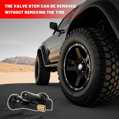 25PCS Valve Stem & Core Removal Replacement Tool Kit, Heavy Duty Tire Core Removers with 5 TR413/5 TR414 Stems, Valve Cores Stems Caps Removal Tool Kit for Car Motorcycle ATV