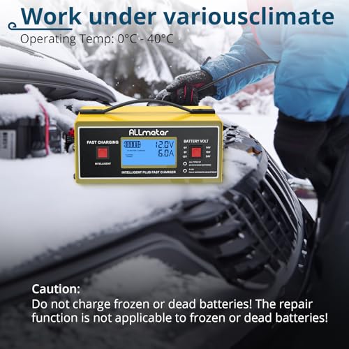 8 Volt Golf Cart Battery Charger,0-14A Smart Fully Automatic Battery Maintainer for 8V Lead Acid Batteries,6V/8V/12V/14V/16V/24V Trickle Charger for Car,Marine,Truck,AGM Gel STD & Desulfator - color: Yellow 8 Volt Battery Charger
