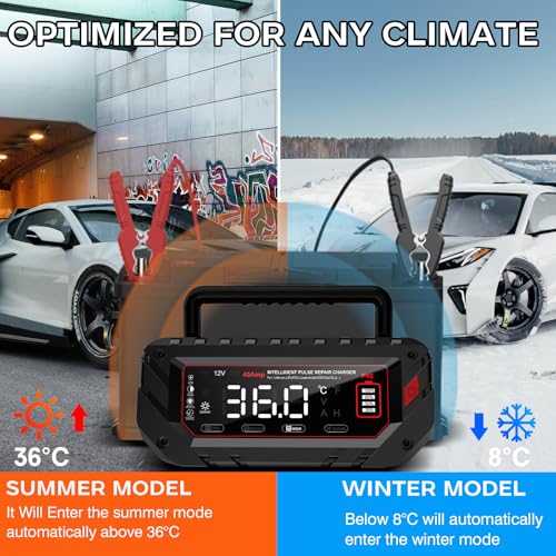 40 Amp Battery Charger, 6V/12V/24V Smart trickle Charger,car Battery Charger,Lithium, Lifepo4, Lead Acid (AGM/Gel/SLA...) Battery maintainer, desulfurizer, for:car, Boat, Motorcycle,Lawn mowers..