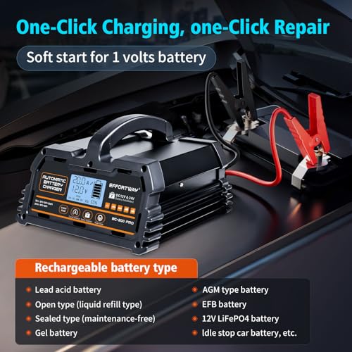 20A 12V/24V Battery Charger,Lead Acid Charger, 12V LiFePO4 Charger. Smart Battery Charger with Trickle Charge.Car Battery Maintainer with LCD Display. Suitable for Trucks,AMG,Motorcycles - size: 20A