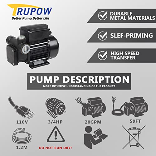 Trupow 110V AC 20GPM Electric Self-priming Diesel Kerosene Oil Fuel Transfer Extractor Pump - style: 20GPM