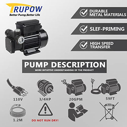 Trupow 110V AC 20GPM Electric Self-priming Diesel Kerosene Oil Fuel Transfer Extractor Pump - style: 20GPM