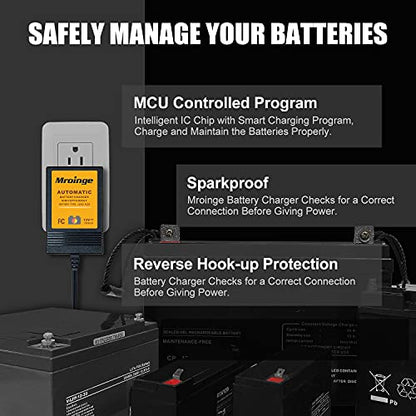 Trickle Charger 12V 1000mA Smart Battery Charger & Maintainer and Automatic Float Charger for Motorcycle, ATV, Lawnmowers and More