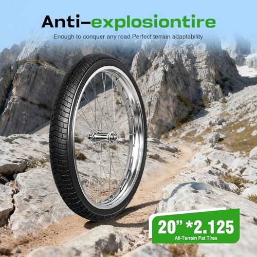 2-Pack Mountain Bike Tires Replacement 20/24/26-inch Bike Tire with Anti-Stab Weave, Folding Mountain Bicycle Tires and Tubes - color: 20x2.125