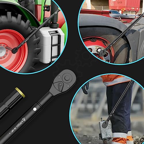 ANPUDS 3/4" Click Torque Wrench, 100-650 Ft-Lb/135.5-880.8 Nm, Heavy Duty | ±3% Accuracy, Dual-Direction, 48-Tooth, Quick Release Reversible Head for Semi Truck, Tractor, Diesel Engine, Farm - size: 100-650 ft-lb / 135.5-880.8 Nm
