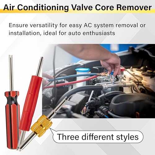 39 PCS Air Conditioning Valve Core Accessories Kit, R12 R134a Refrigeration Schrader Tire Valve Stem Cores with Single & Dual Heads Valve Core Remover Installer Tool, HVAC System Seal Caps Kit