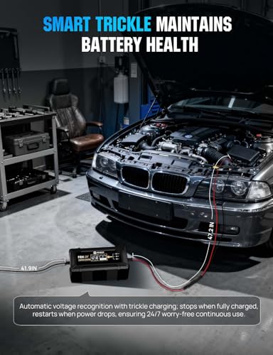DC House 12V 10A LiFePO4 Battery Charger, Smart Trickle Charger Fully Automatic Maintainer Desulfator for Lead-Acid & LiFePO4 Batteries Car Motorcycle Truck Lawn Mower