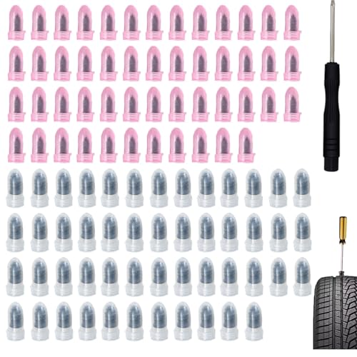 100 PCS Tire Repair Kit, Tire Repair Screws with 2 Sizes, Vacuum Tire Repair Rubber Nail, Screwdriver&Storage Box, Fast Self-Service Tool for Car, Truck, Motorcycle, Tire Puncture Repair (100Pcs) - size: 100Pcs