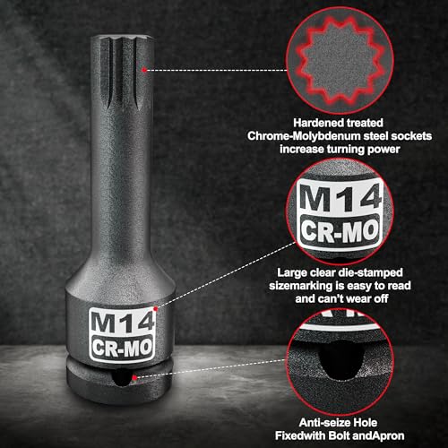 3/8" Drive Master Impact XZN Bit Socket Set, 7-Pieces: M5 - M14, Cr-Mo Steel, Heavy Duty Storage Case - size: 3/8" XZN