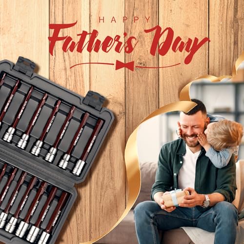 LLNDEI 3/8-Inch Drive Extra Long Allen Hex Bit Socket Set 19PCS- Standard SAE & Metric (1/8"-3/8", 3-12mm), CR-V&S2 Alloy Steel, Durable Tool Accessories Kit for Mechanics