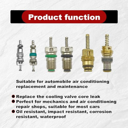 102Pcs Air Conditioning Valve Core Accessories Kit, A/C R12 R134a Refrigeration Tire Valve Stem with Double Head Dual Dismantling Remover Installer Tool Assortment Kit