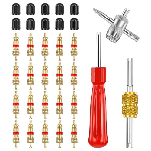 Car Tire Repair Tools Tire-Valve Core Remover Valve Stem Removal Tool Kit with 4-Way Valve Tool, 10 Pcs Valves Stem Caps, 20 Pcs Valves Cores for Cars Trucks Motorcycles Bicyclescs
