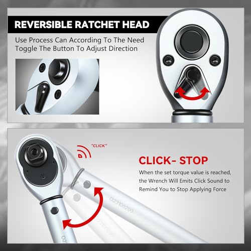 Auto Dynasty 1/2 Inch Dual-Scale Reversible Ratchet Wrench Set 10-160ft.lb/13.6-217.0 n.m with Quick Release and Accurate Torque Control - Perfect for Cars, Bikes, and Machinery Maintenance - size: 1/2 Inch-160ft.lb