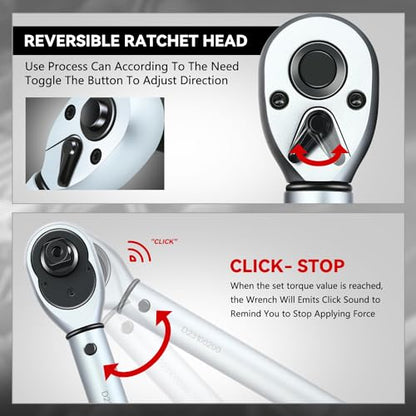Auto Dynasty 1/2 Inch Dual-Scale Reversible Ratchet Wrench Set 10-160ft.lb/13.6-217.0 n.m with Quick Release and Accurate Torque Control - Perfect for Cars, Bikes, and Machinery Maintenance - size: 1/2 Inch-160ft.lb